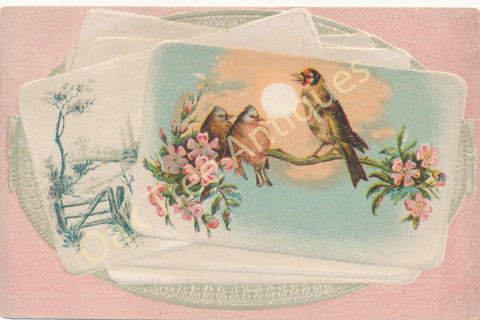 Victorian Trade Card - Birds - Meditation - Lion Coffee - Woolson Spice Co., Toledo, Ohio