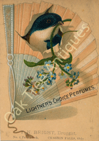 Victorian Trade Card - Lightner's Choice Perfumes - T. N. Bright druggist, Chagrin Falls, Ohio
