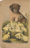 Victorian Trade Card - J.D. Larkin Boraxine - Puppy and Chicks - J. W. Foster & Co., Mantua, Ohio