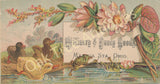Victorian Trade Card - Ducks and Frog - Mrs. M. A. Smith Millinery & Fancy Goods, Mantua Station, Ohio