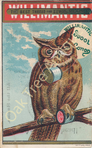 Victorian Trade Card - Willimantic Spool Cotton - Owl - W. R. Kelley, Wesleyville, Erie County, Pennsylvania