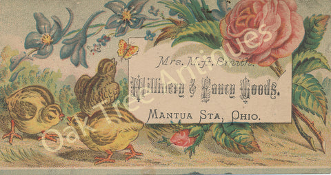 Victorian Trade Card - Mrs. M.A. Smith  Millinery & Fancy Goods - Mantua Station, Ohio - chicks and flowers