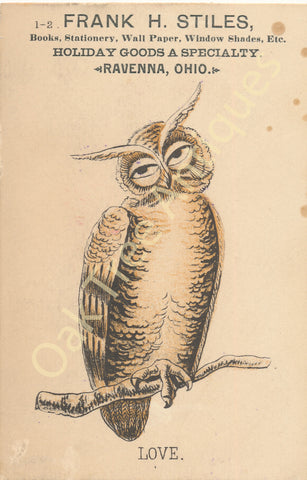 Victorian Trade Card - Owl - Love - Frank H. Stiles Books, Stationery etc. - Ravenna, Ohio