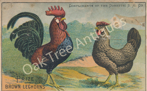 Victorian Trade Card - Prize Brown Leghorns - No. 4 Family - Domestic Sewing Machines