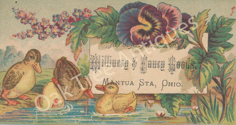 Victorian Trade Card - Ducks and Pansies - Mrs. M. A. Smith Millinery & Fancy Goods, Mantua Station, Ohio